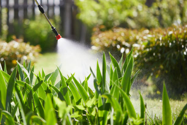24/7 Emergency Cockroach Control experts in Luverne, MN